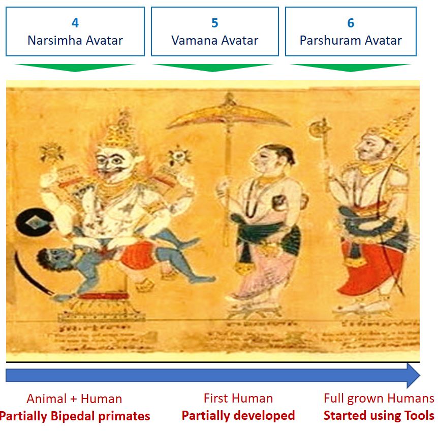 Evolution from Eastern Philosophy Part 3 Matsya Nyaya Laws of the Jungle vs. Culture — Steemit